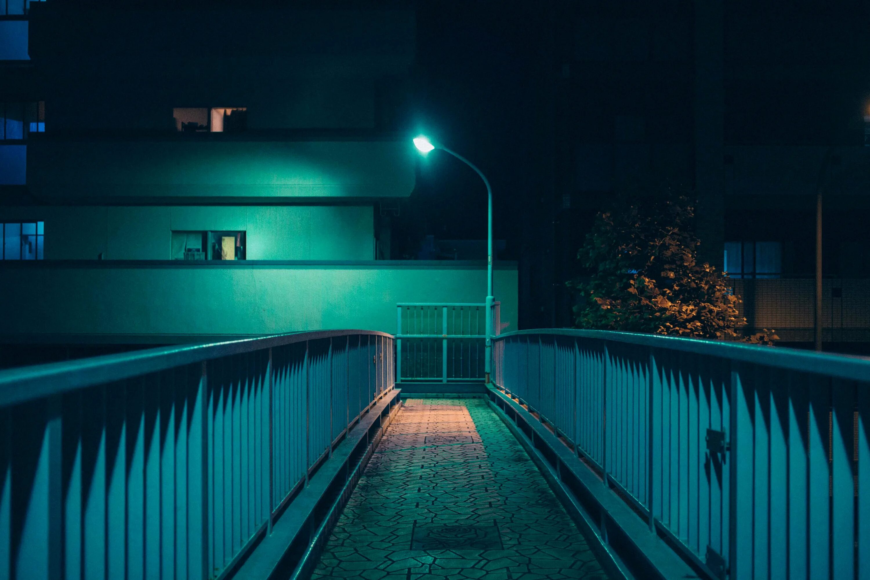Городу нужен свет. Неоновая улица. Ночная улица. Эстетика пустого города. Улицы Японии ночью.