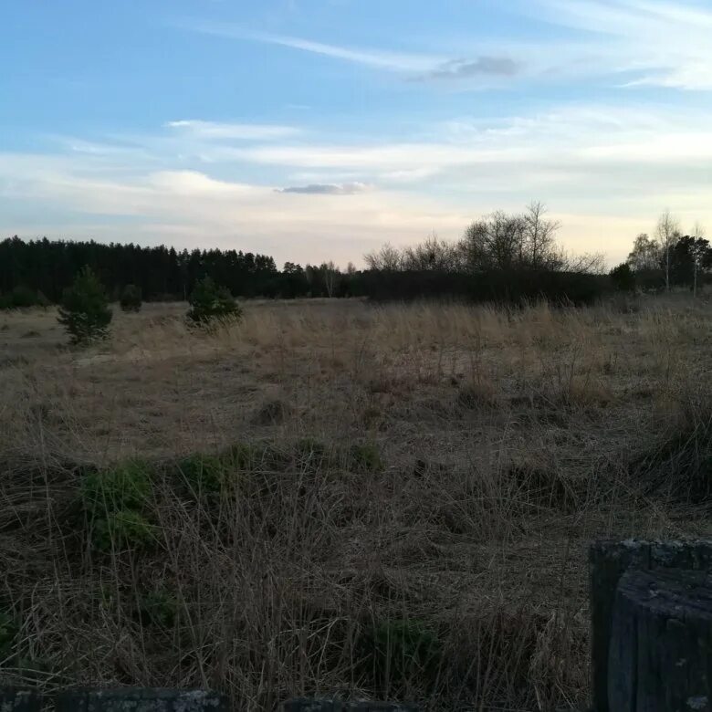 Село агишево рязанская область в 90 годы. Село большое агишево. Агишево рязанская область. Шаморга рязанская область. Погода агишево шацкого.