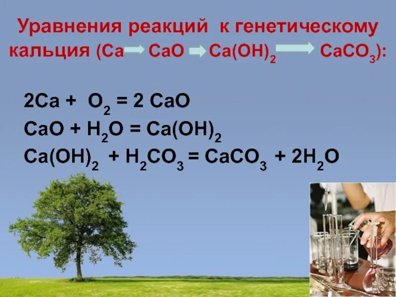 Ca cao ca oh 2 ca co3. Уравнение реакции CA=cao=CA(Oh)2. Генетическая связь кальция. Генетическая связь кальция уравнения реакций. Генетический ряд кальция CA cao.