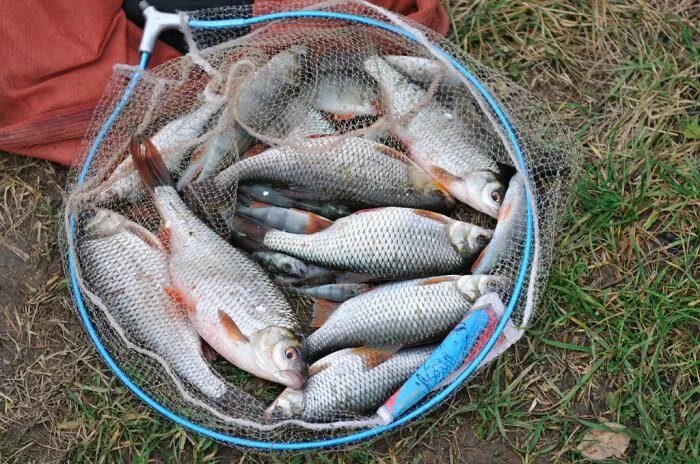 улов рыбака астрахань. магазин рыболовных товаров живем рыбалкой. улов рыбаков магазин. улов рыбаков астрахань интернет магазин. большой улов краснодар.