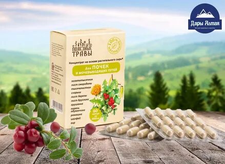 Лекарства для почек на травах