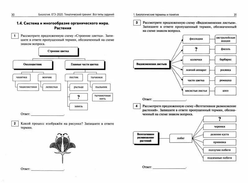 Биоробот егэ биология задания. Темы задач на ЕГЭ по биологии. Шпаргалки для ЕГЭ по биологии 2022. Разделы биологии ЕГЭ таблица 1 задание. Схемы по биологии задание 1 ЕГЭ.