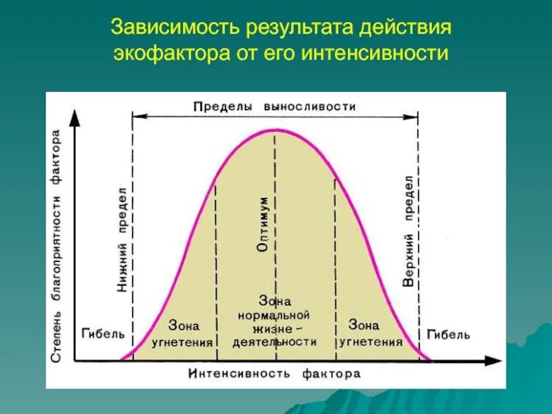 Зависимость действия экологического фактора. Схема действия экологического фактора. Зона оптимума экологического фактора. Экологические факторы график. Действие результаты эффект