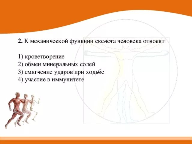 Кости скелета по отделам. Механические функции скелета человека. Биологические функции скелета. Биологические функции скелета. К функциям скелета не относят участие.