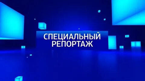 Специальный репортаж звезда