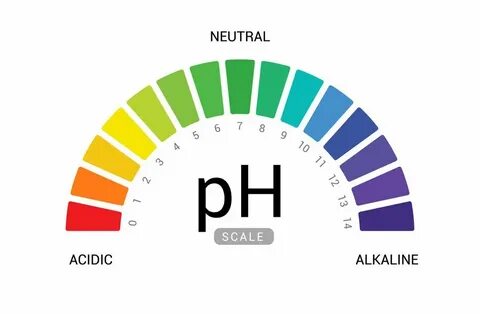 Ph 5 10