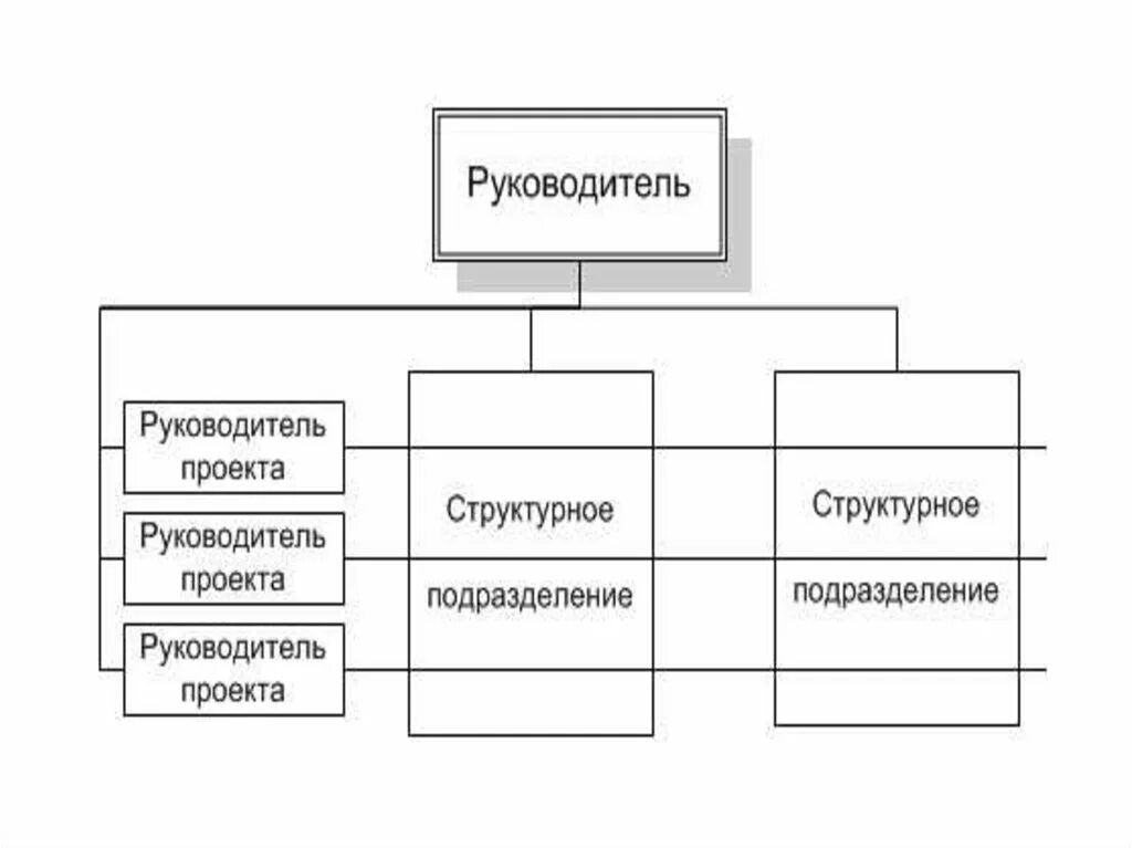 Организационная структура организации