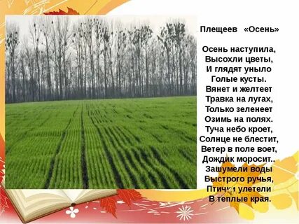 Шумит кустарник пушкин стихотворение