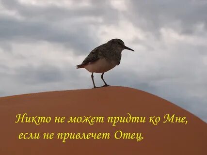 Их не привлекает не