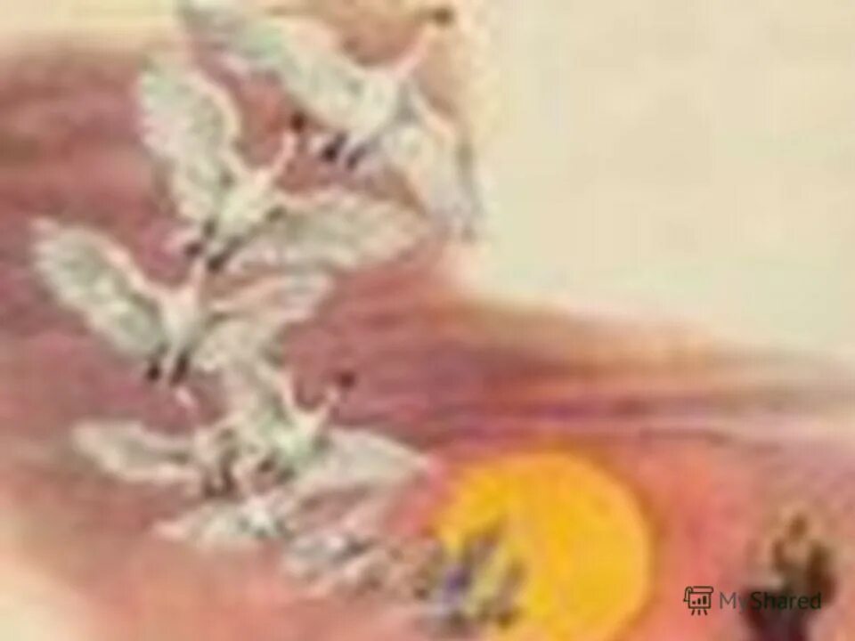 рисунок к сказке дикие лебеди. элиза дикие лебеди. план дикие лебеди андерсен. дикие лебеди (dvd). дикие лебеди тест 4 класс 21 век.