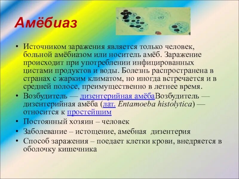 Таблица биология 7 амебная дизентерия. Путь заражения амёбной дизентерией. Простейшие возбудители заболеваний человека.