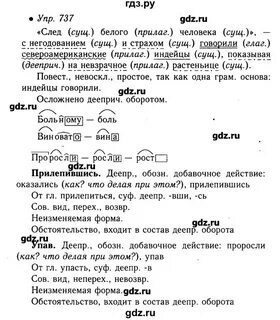 Русский язык 6 класс чердаков