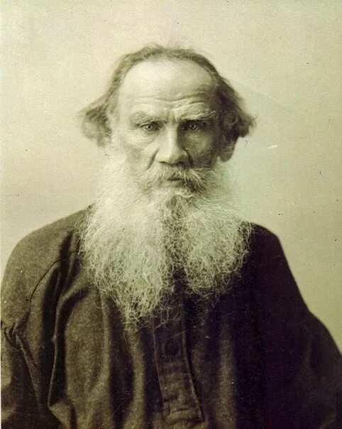 ФЭБ: Жданов. Вступительная статья: К истории создания "Анны Карениной": Два ранн