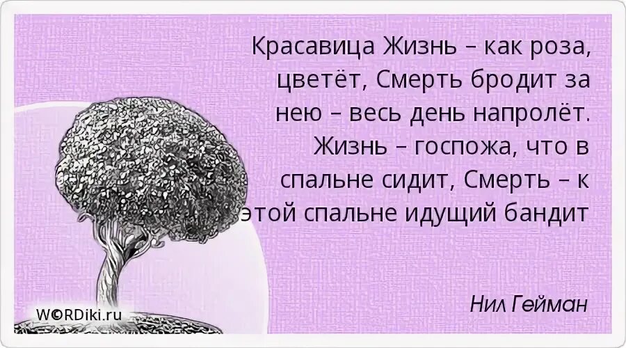 Красавица цитаты. Красавица цитаты