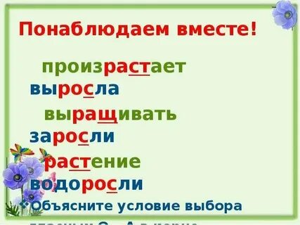 Рос зан