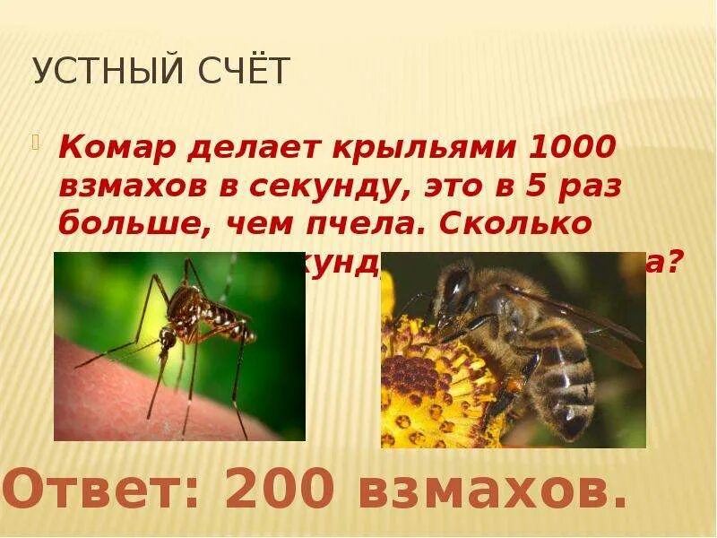 Частота взмаха крыльев шмеля. Сколько взмахов в секунду делает пчела. Частота крыльев пчелы. Сколько взмахов крыльями делает Оса в секунду. Взмахи крыльев пчелы.