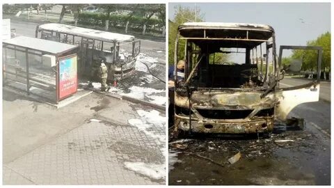 Тюмень петропавловск автобус
