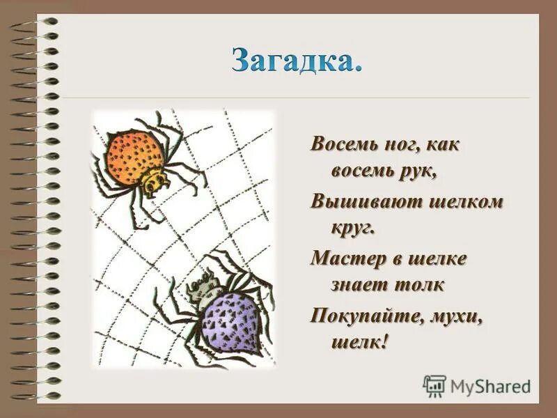 8 ног 8 глаз. Восемь ног как восемь рук вышивают шелком круг. Загадка восемь рук и восемь ног. Загадка про 8.