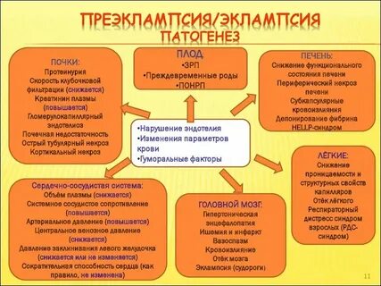 Патогенез преэклампсии