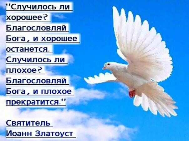 Благословляю вас добром. Благословение от Бога. Благослови вас Бог. Божьего благословения и мирного неба. Да благословит вас Господь открытки.