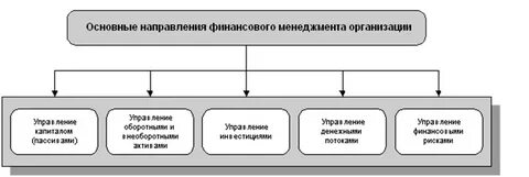 Финансовый менеджмент основное
