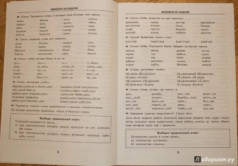 тренажер русский язык 2 класс узорова. основные орфограммы русского языка таблица. тренажер узорова 1 класс русский язык. тренажеры по русскому языку 4 класс узорова нефедова. тренажер узорова нефедова 2 класс.
