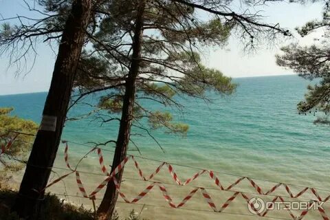 Кемпинг сосновый берег архипо осиповка