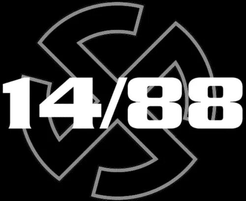 14 88 картинки. 14 88 картинки. 14 88 значение. Москва 14 88. Трезвая и злая молодежь.