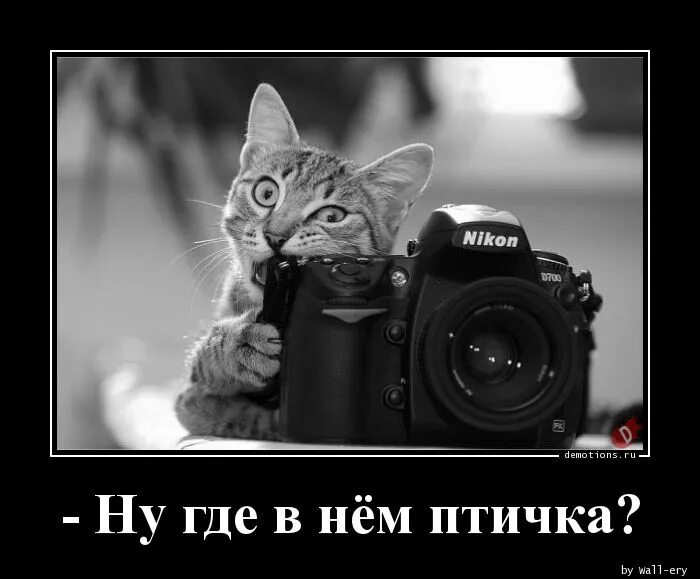 Ну где телефон