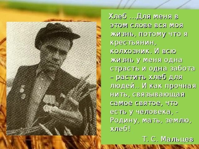 Ценою жизни текст. Хлеб для меня в этом слове вся моя жизнь потому. Хлеб для меня в этом слове вся моя жизнь потому что я крестьянин. Т С Мальцева.