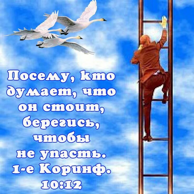 Залезь обратно