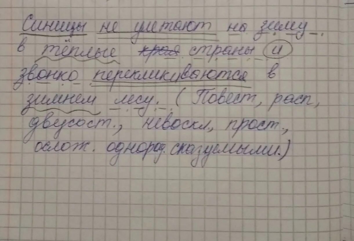 Синтаксический разбор птицы. Птица синтаксический разбор. Синтаксический разбор предложения. Зима синтаксический разбор. Предложения о зиме для разбора.