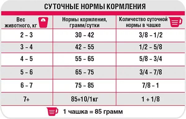 Сколько нужно давать корма кошке в день