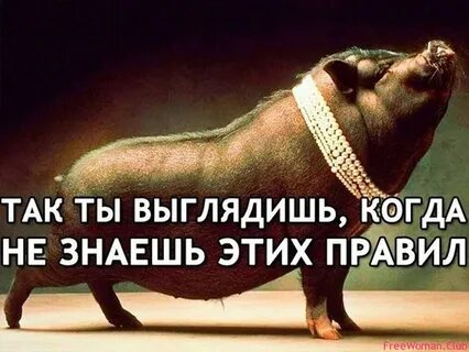 Нелепый правило