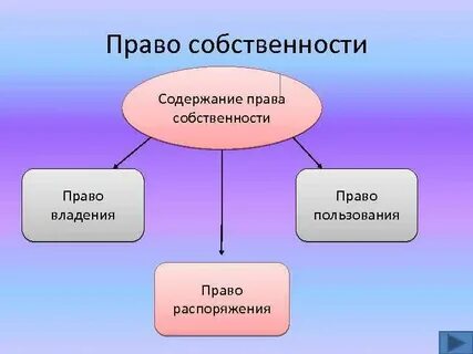 Право собственности 7 класс обществознание
