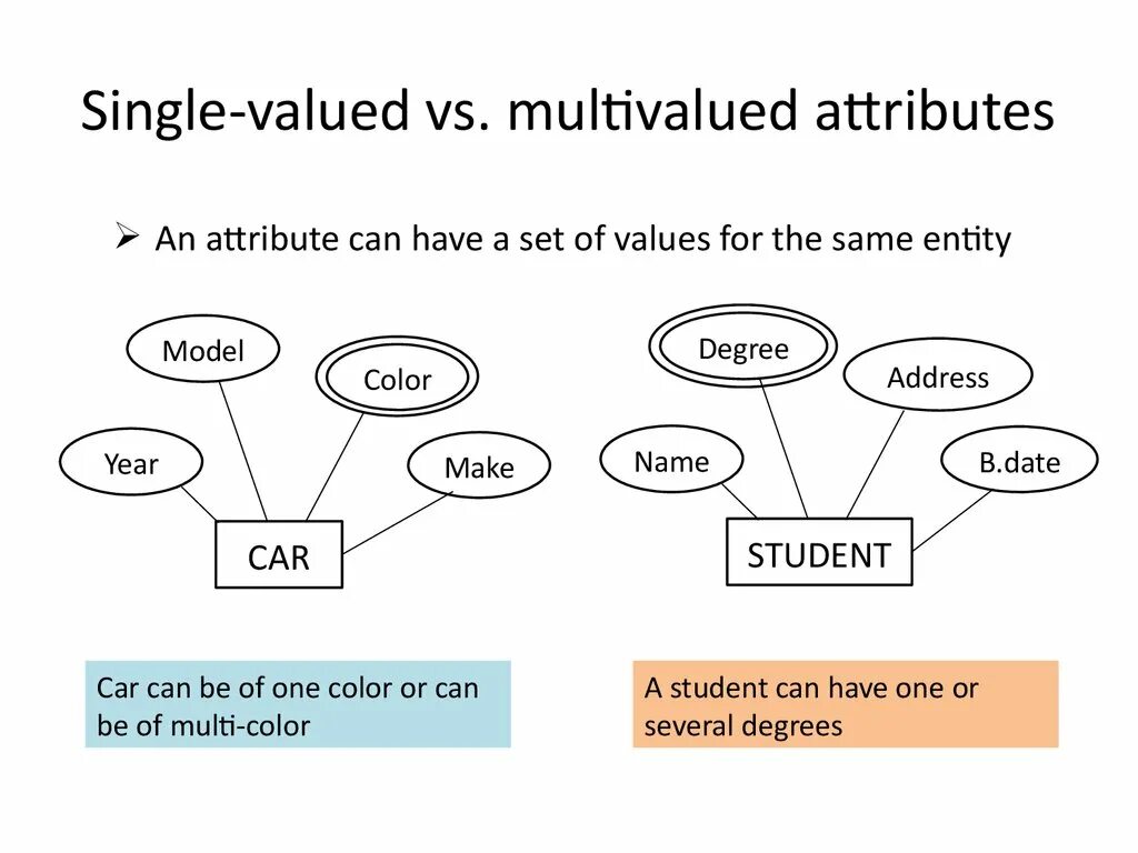 Multivalued attribute in er diagram. Entity data model. Multivalued erd. EAP таблица entity attribute value.