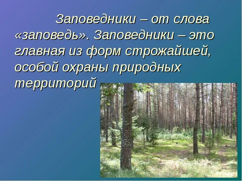 Текст про заповедник. Стихотворения о заказниках. Заповедник. Стих про заповедник. Красивые слова о заповеднике.