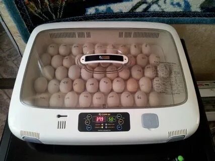 Инкубатор имэ 25 220