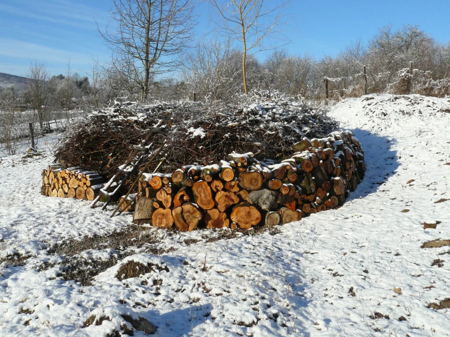 Клумба из веток. Шпалера из веток. Куда девать ветки. Ветка малины срезанная. Куча спиленный веток.