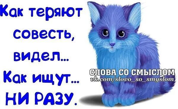 Как найти совесть. Смешные фразы про совесть. Смешные цитаты про совесть. Афоризмы про совесть смешные. Смешные высказывания про совесть.