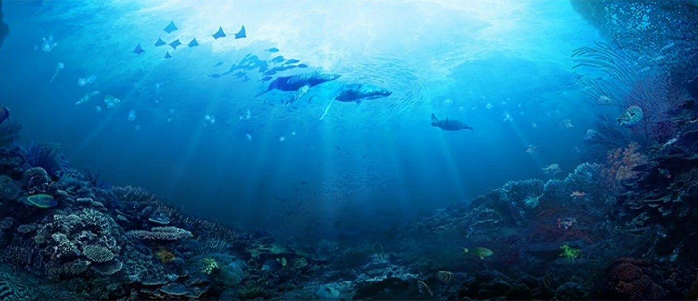 Все вещи 3 моря. Under the Sea. Море внутри фото. Ocean under the Sea. Uninhabited place under the Sea.