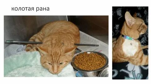Коля резанный