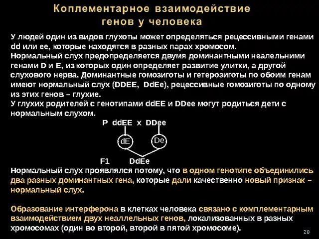 Нормальный слух у человека. Ген глухоты. Генная от тугоухости. У людей нормальное развитие слуха контролируют два Гена.