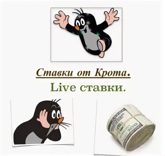Тб 20 1 1. Тб 20 1 1
