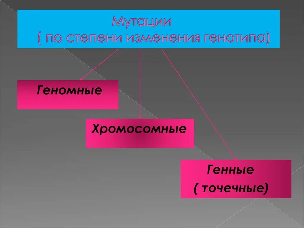 Мутации по генотипу. Мутации по степени изменения генотипа. Генные точечные мутации. Причины мутаций соматические и генеративные мутации. Соматические мутации хромосомные.