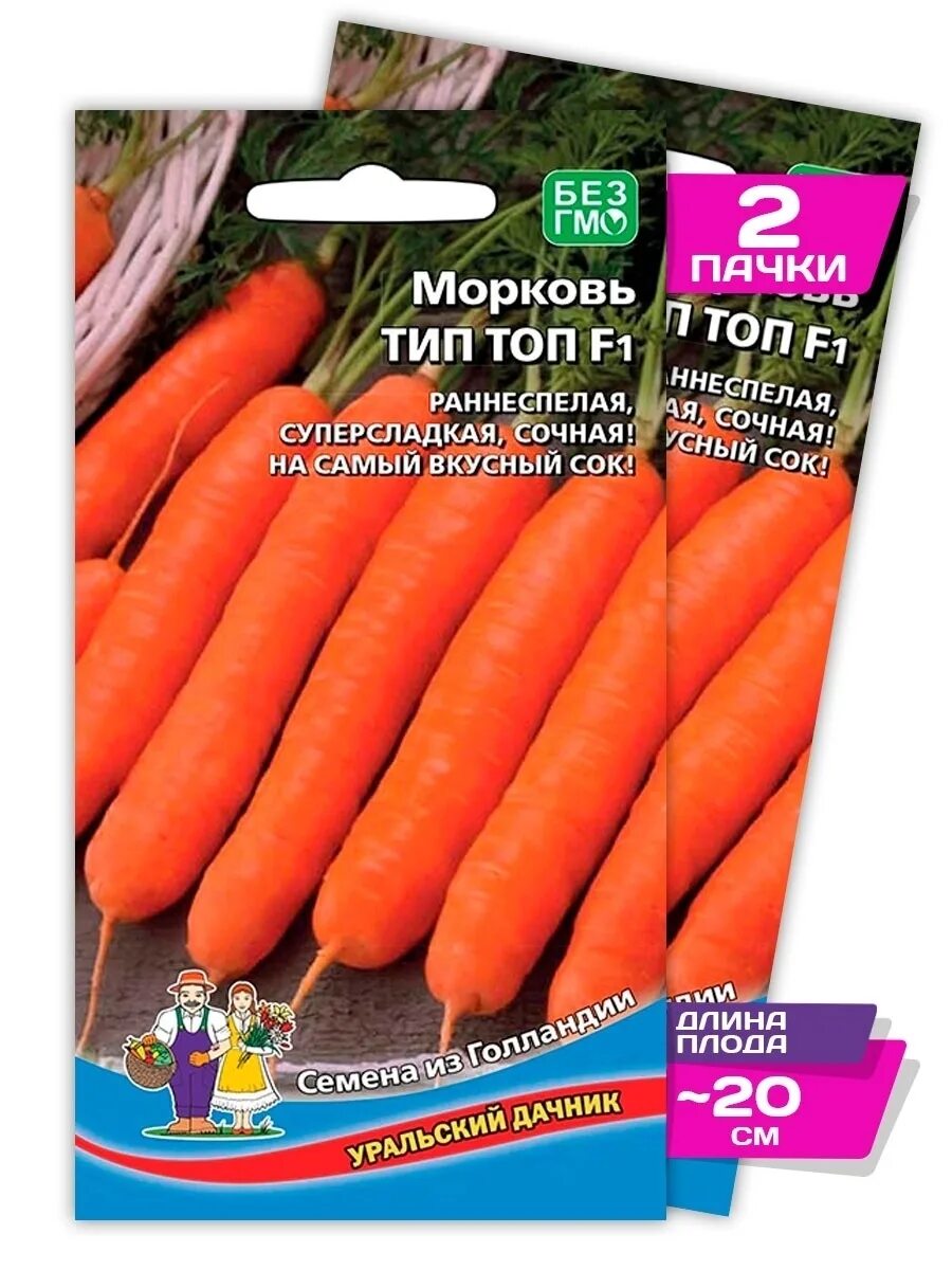 Морковь тип топ. Морковь голландская. Морковь тип топ. Сорт моркови шантане королева осени. Морковь проминанс f1.