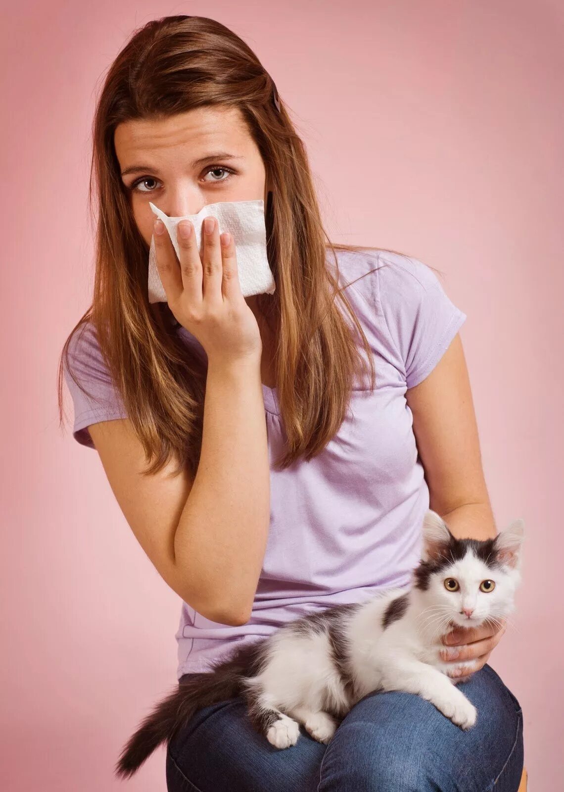 Аллергия на кошек. Кошки для аллергиков.