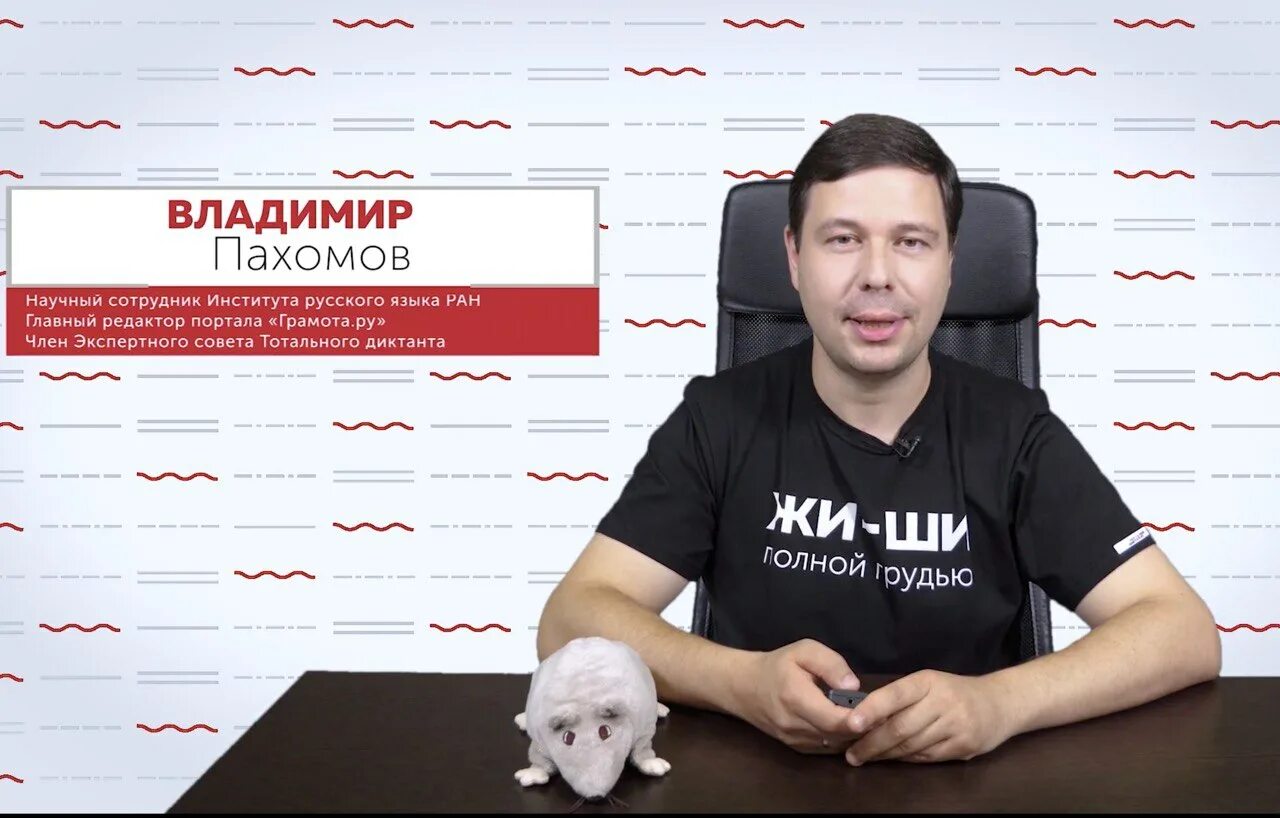 Команда разработчиков. Веб разработка. Курсы по созданию историй. Веб дизайнер. Обучение веб дизайну.