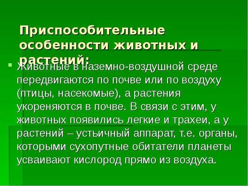 Приспособление растений к наземно-воздушной среде. Наземно-воздушная среда приспособления. Приспособления растений к наземно-воздушной среде обитания. Адаптация животных к наземно-воздушной среде. Свойства наземно воздушной среды обитания 5