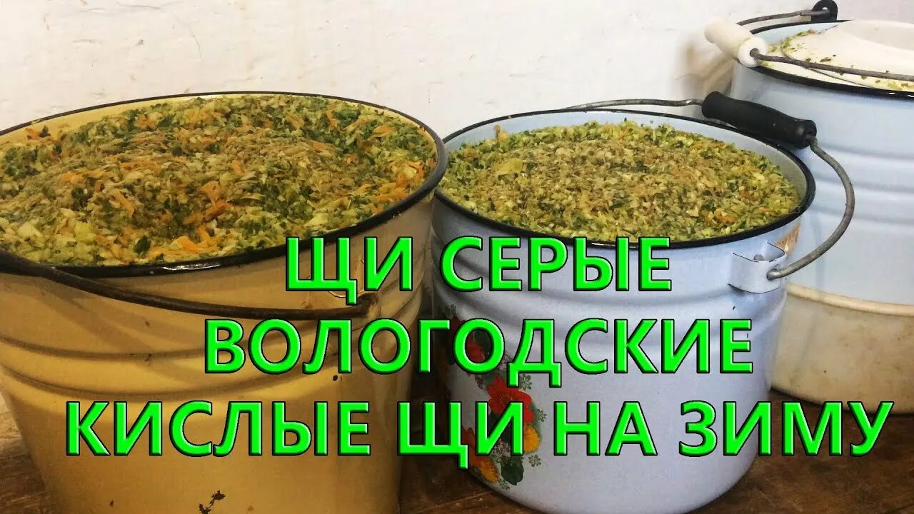 Щи серые вологодские. Вологодские щи. Крошево из зеленых листьев капусты на зиму. Щи из крошева. Наши традиции щи вологодские